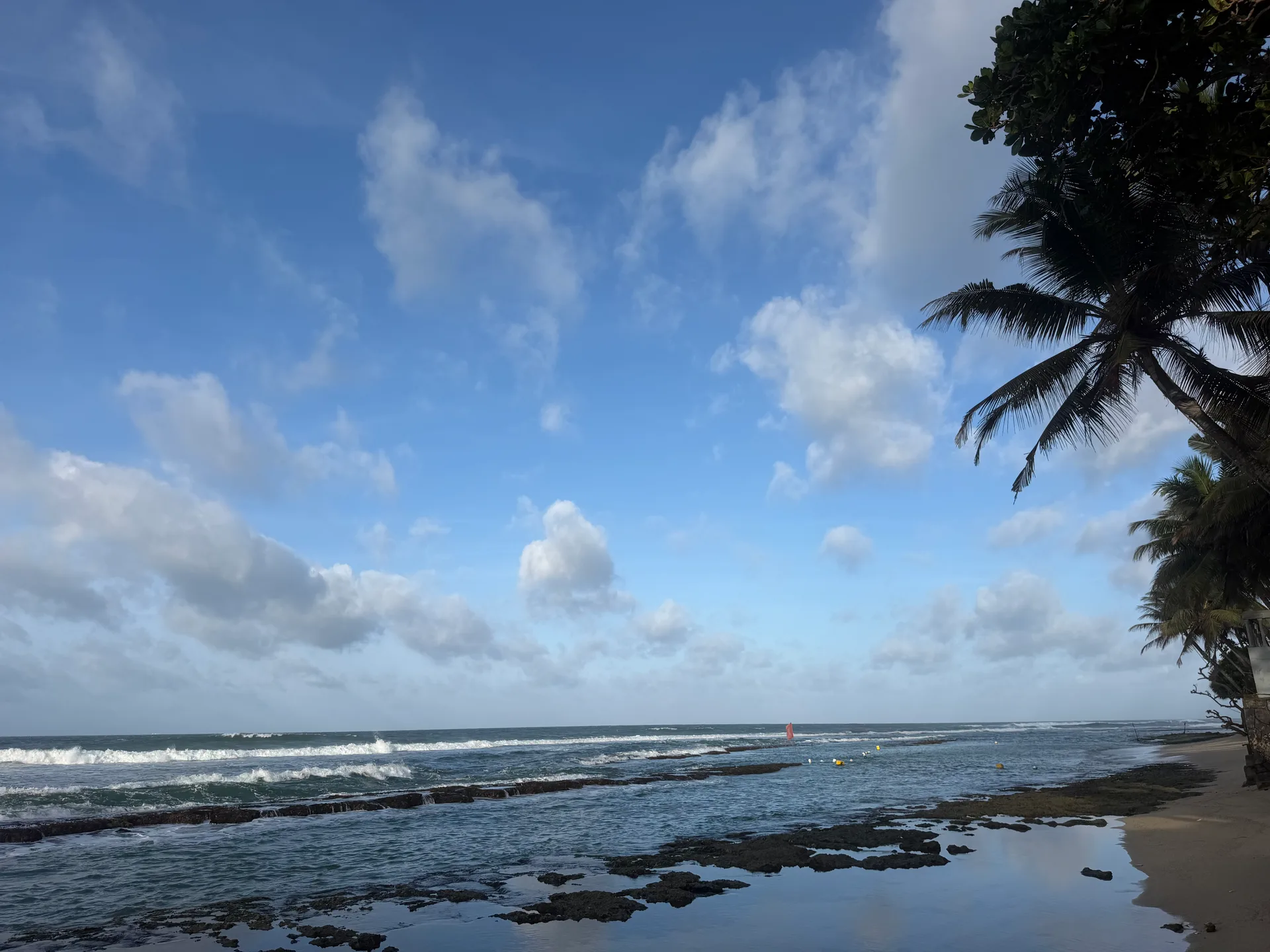 Thalpe Beach, Sri Lanka south coast - palm trees, rock pools and Indian Ocean waves